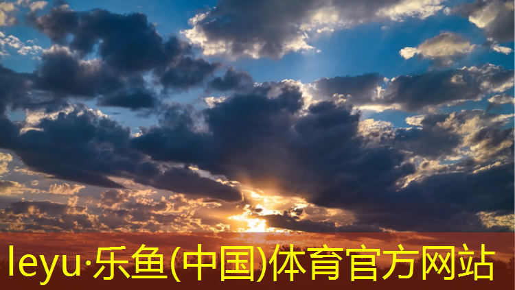 <strong>乐鱼体育,塑胶跑道解析图</strong>